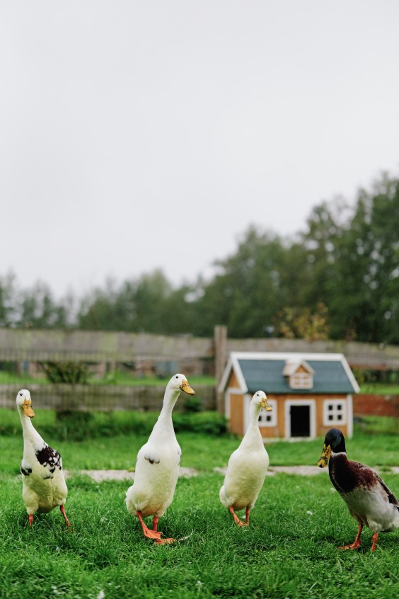 Mieke en haar hulphond Woezel | Fotografie: Marjon Lukje