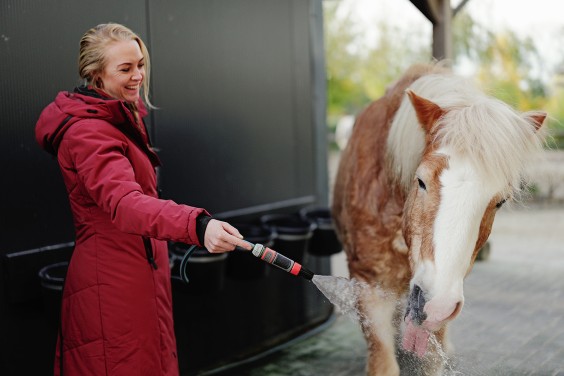 Paardenparadijs | Fotografie: Marjon Lukje