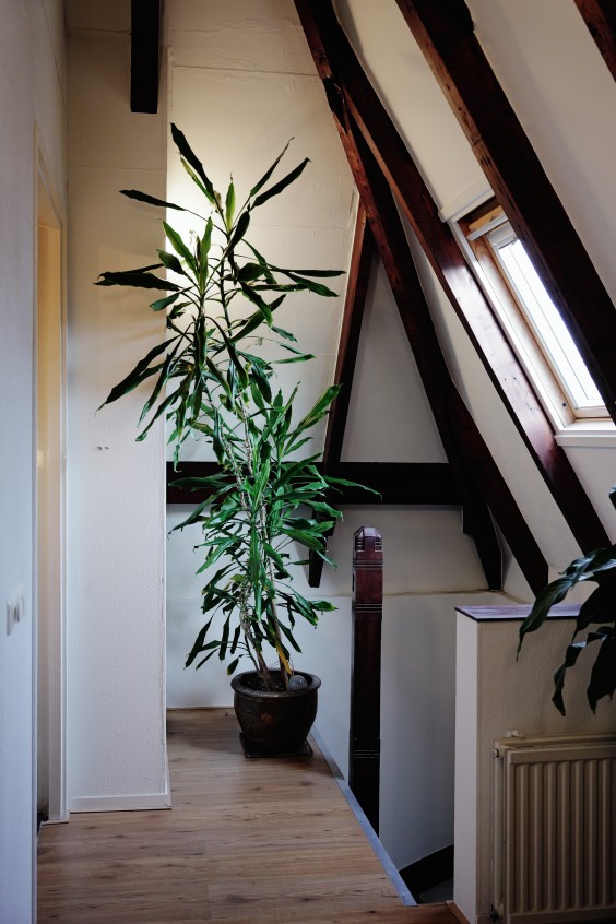 Oud stoombootmaatschappij Groningen | Fotografie: Marjon Lukje