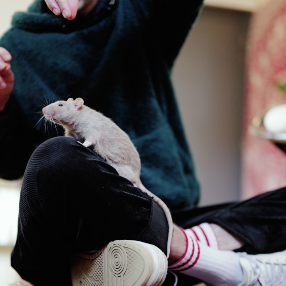 Halve kubuswoning met een jaren 70 gevoel | Fotografie: Marjon Lukje