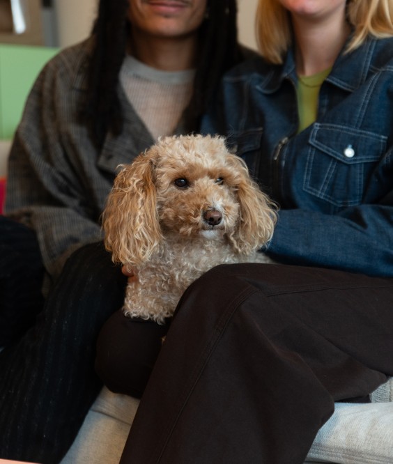 Fotografie: Sheena Schouwink