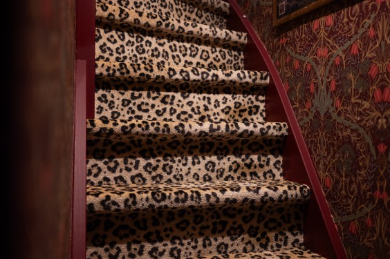 Appartement vol kleur en patronen | Fotografie: Sheena Schouwink