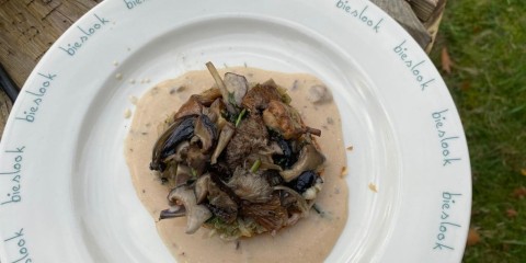 Taart van wilde en gekweekte paddenstoelen.