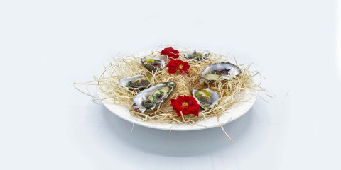 Oesters met Mezcal en rozenblad