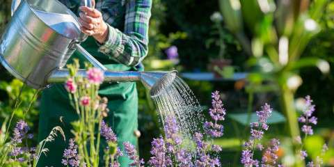 Zo geef je de tuin slim water bij hitte | Foro: Adobe Stock 