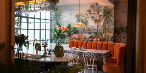 Plantagebuurt - Fotografie: Sheena Schouwink