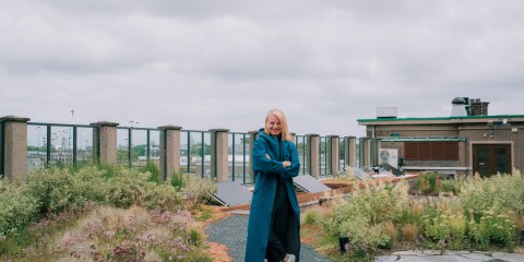 Marieke op het groene dak
