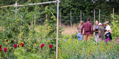 Olympische boeren @mara.uphotography