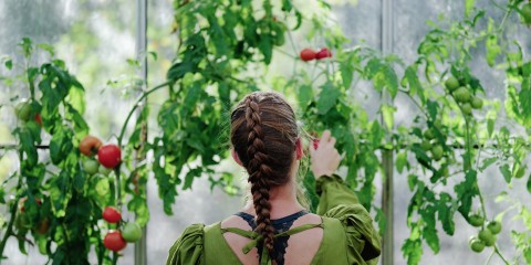 Amber en Gerben hebben een kas en tuin om zelfvoorzienend van te leven | Fotografie: Marjon Lukje