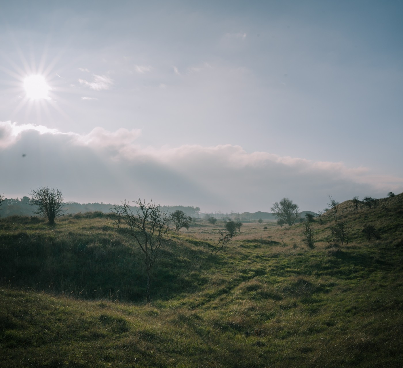 Heemskerk - shotbysheena