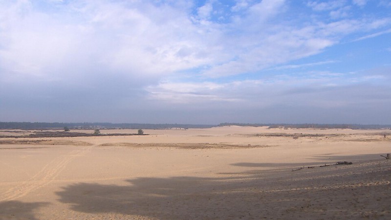 De Loonse en Drunense Duinen 