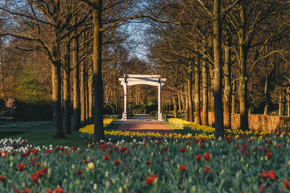 De Keukenhof