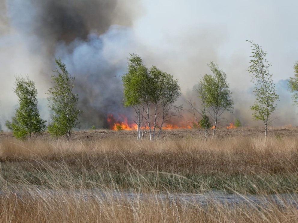 Vlammen slaan om zich heen in de Peel, foto: Staatsbosbeheer