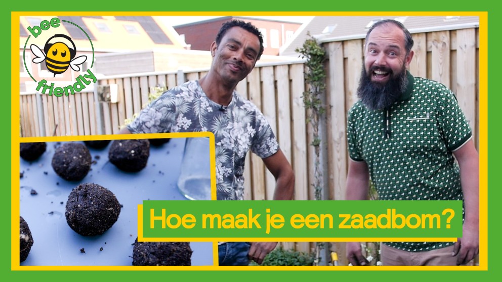 Help de Wilde Bij! afl 2