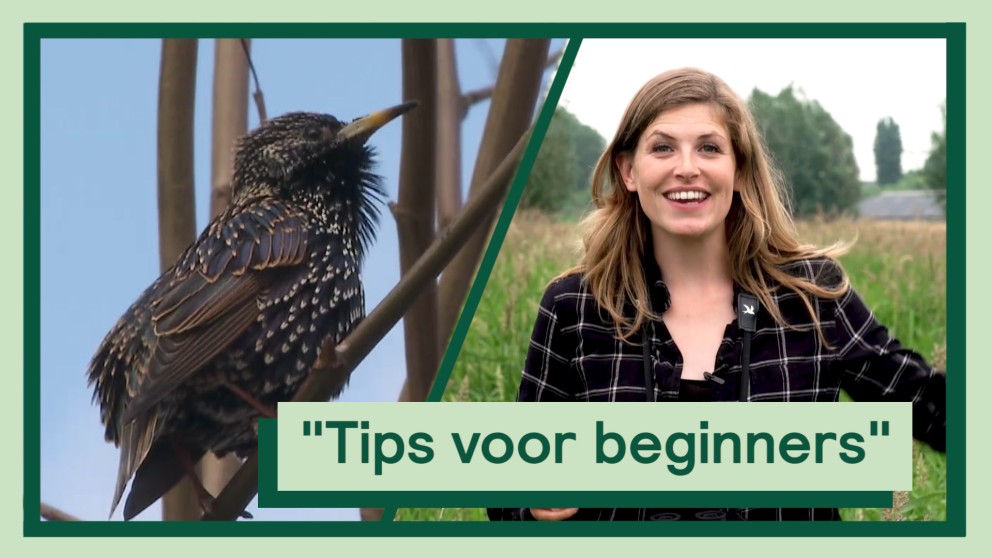 Thumbnail uitvogelen met Camilla