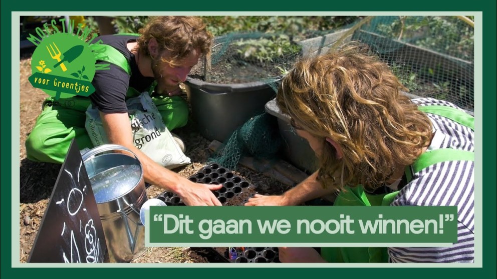 Moestuinieren voor groentjes paprika en peper