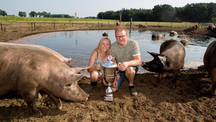 Varkensboer Koen en zijn vriendin Melissa in de varkenspoel waar zij een prijs voor wonnen | Bron: foto van Koen Lipman