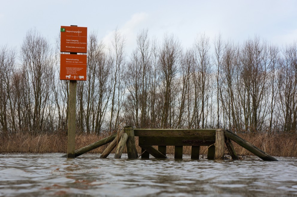 Het hoge water eist ook de wandelpaden op | Foto: Twan Teunissen, Staatsbosbeheer