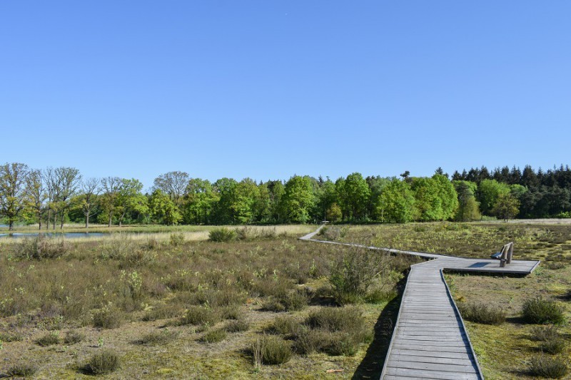 Boswachterspad Mastbos bij Breda