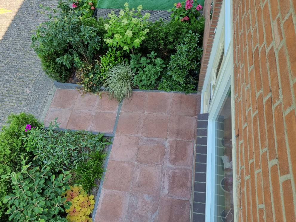 De voortuin is inmiddels de favoriete plek van Marianne