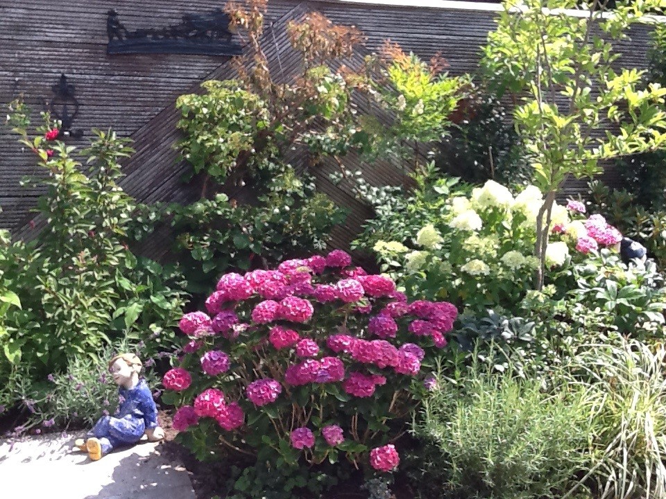 Betsy: 'De kleuren in de tuin vind ik prachtig'