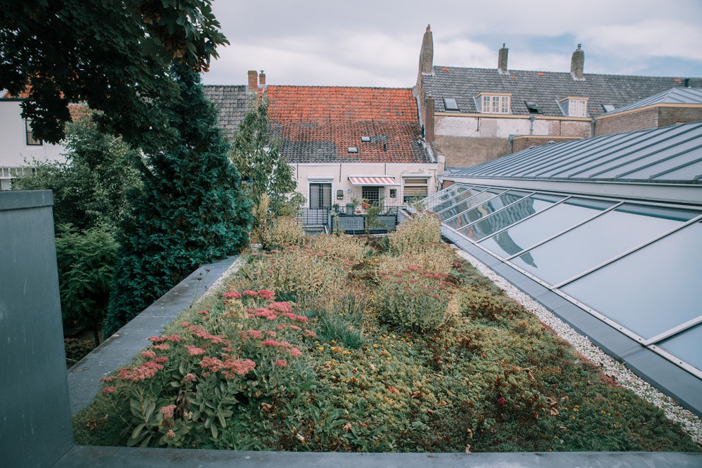 Sedumdak school Middelburg | Foto: Sheena Schouwink