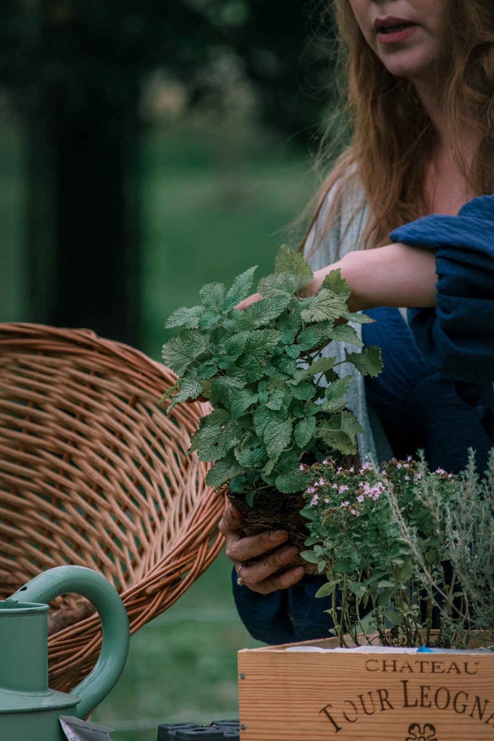 Munt en citroenmelisse in de halfschaduw | Foto: Sheena Schouwink