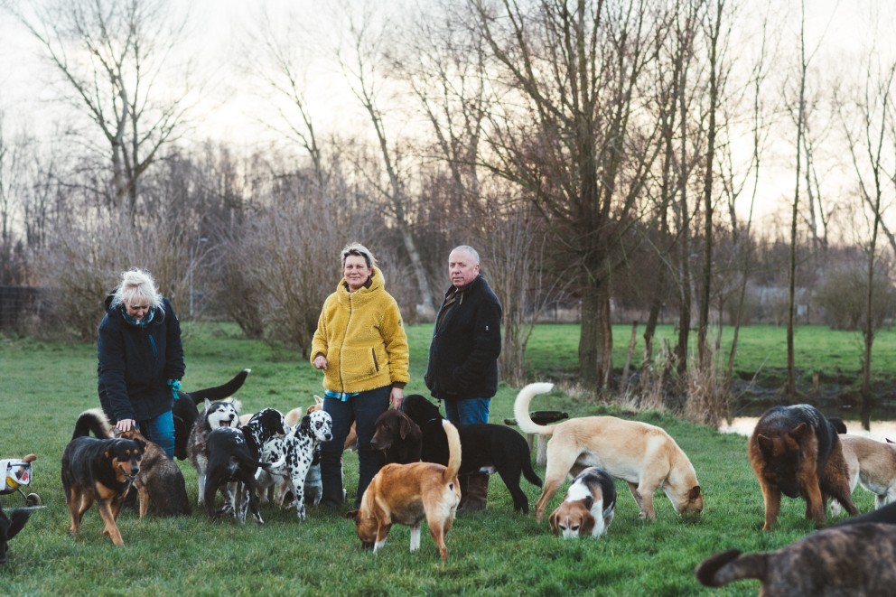 Dierenopvang Almere | Foto: Marjon Lukje