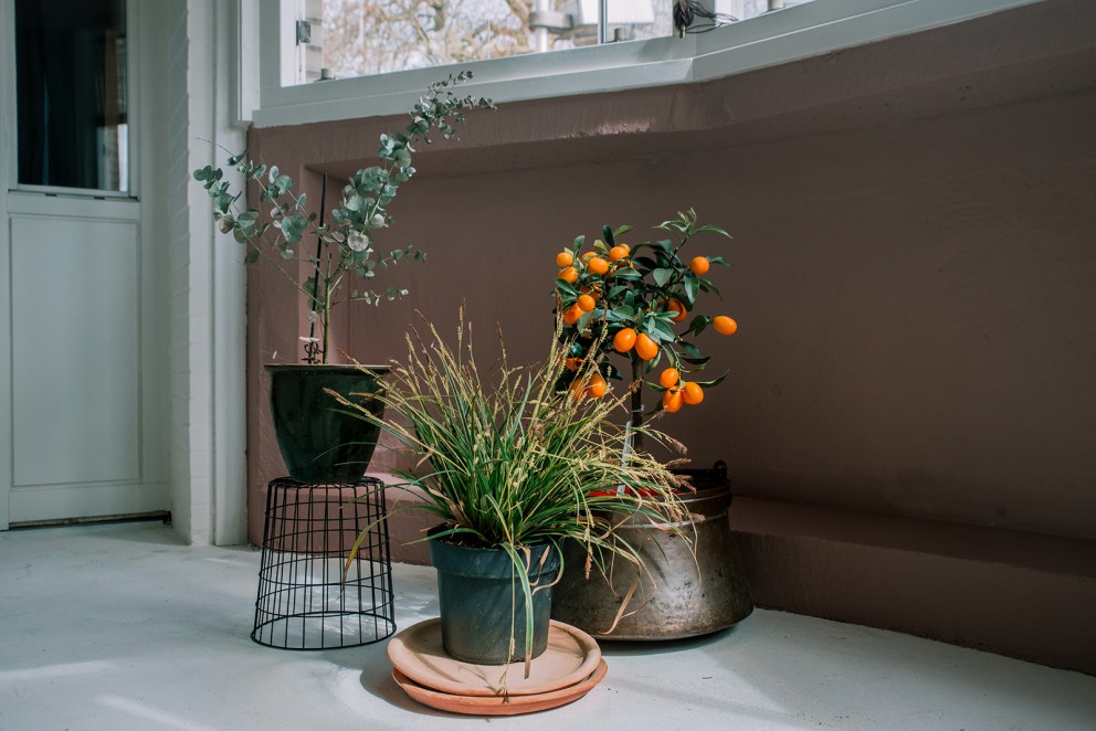 Theo-Bert Pot tips binnenbalkon