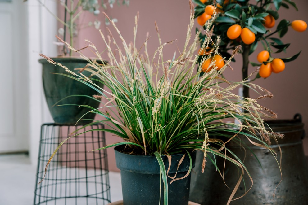 Theo-Bert Pot tips binnenbalkon