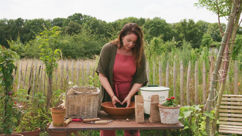 Saffraan kweken stap 1