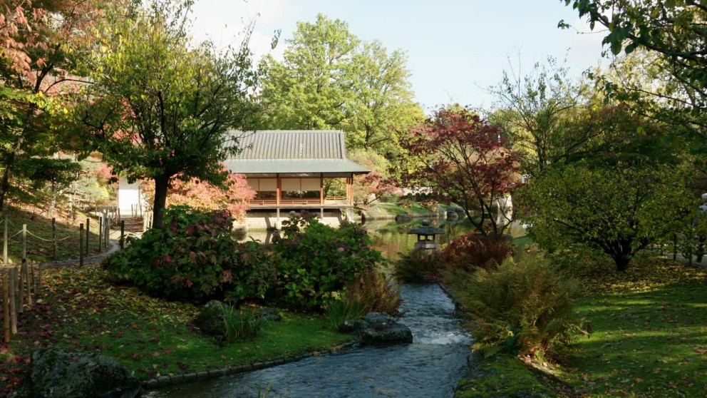 Japanse tuin Hasselt | Still uit de uitzending 