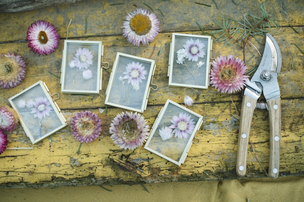 Maak zelf natuurlijke kerstdecoratie | Foto: Liesbeth Disbergen 