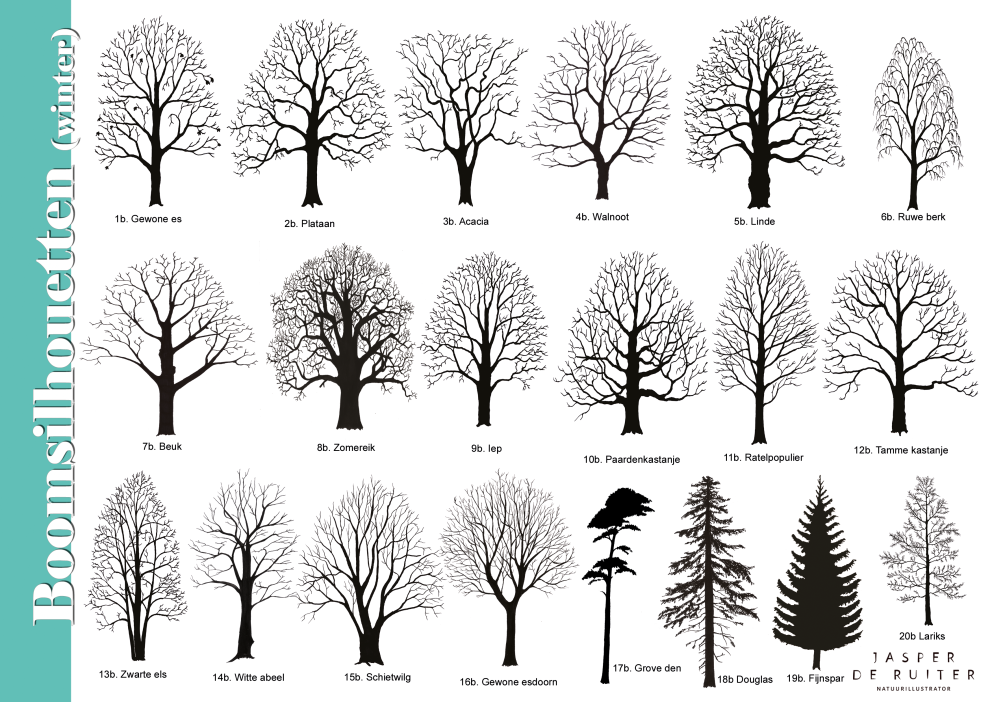 boomsilhouetten-winter-Jasper de Ruiter