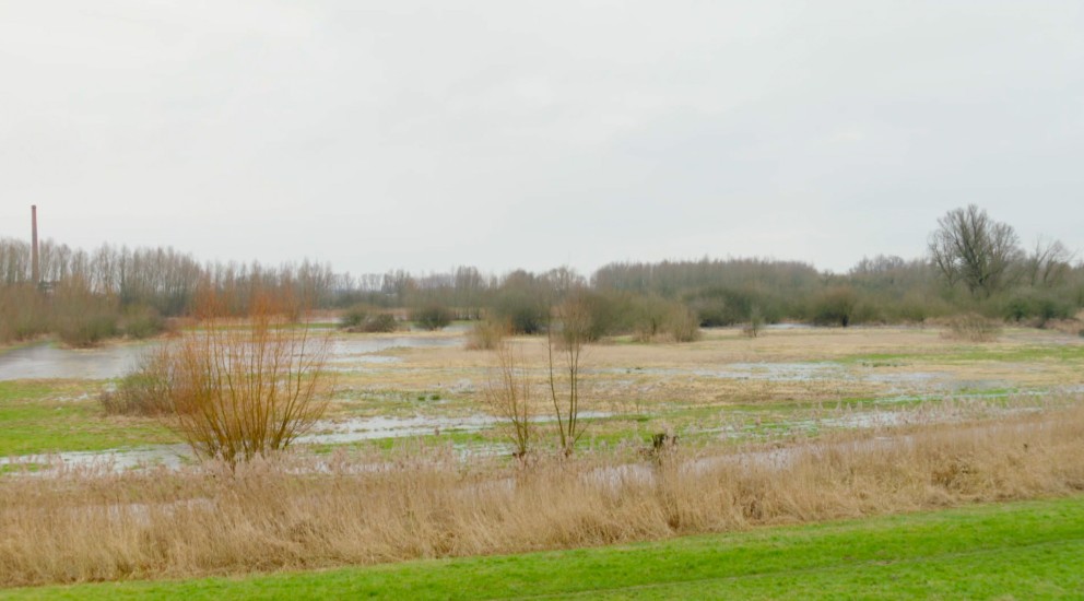 De Wageningse uiterwaarden