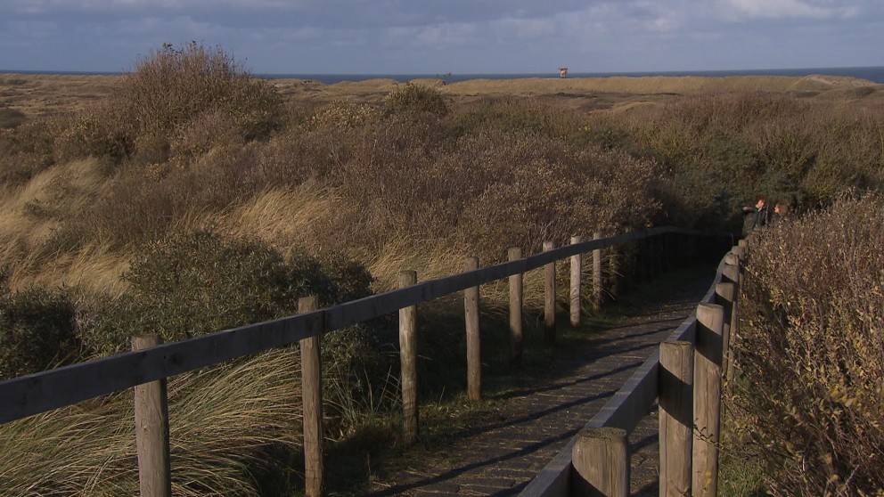 Wandelen op Ameland