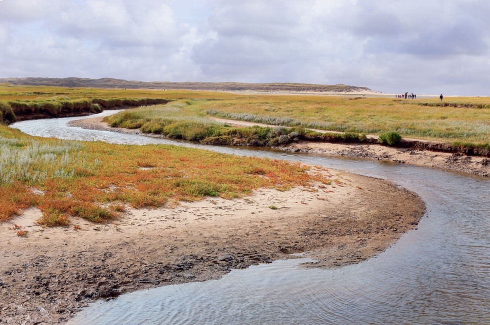 Wandelen langs de Slufter op Texel