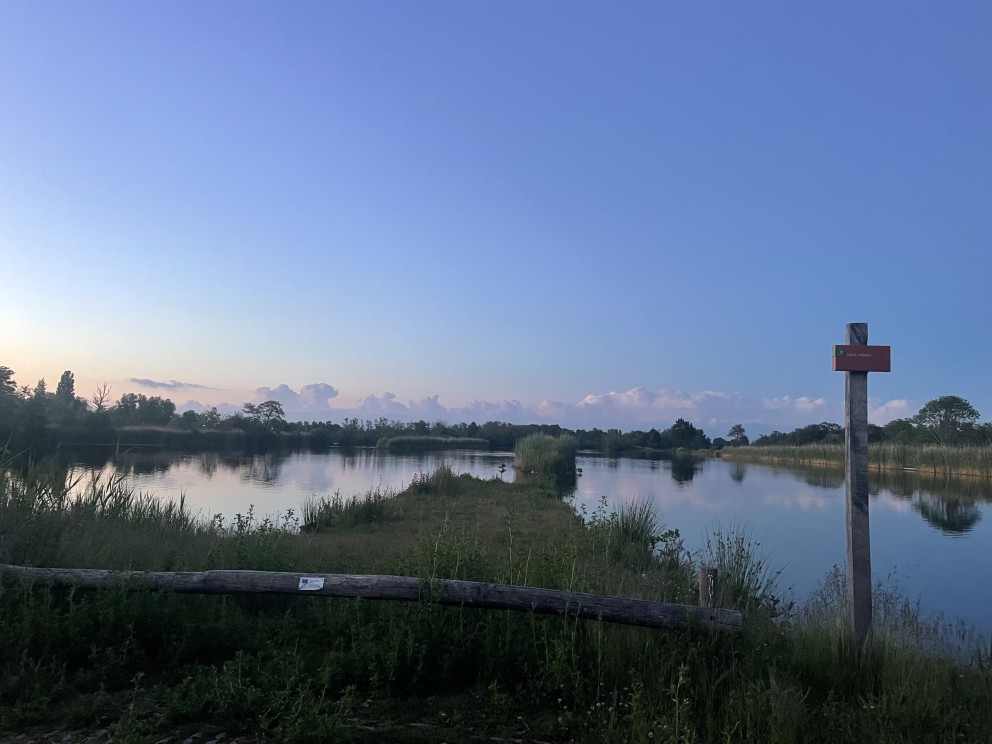 Fotografie: Asceline Groot