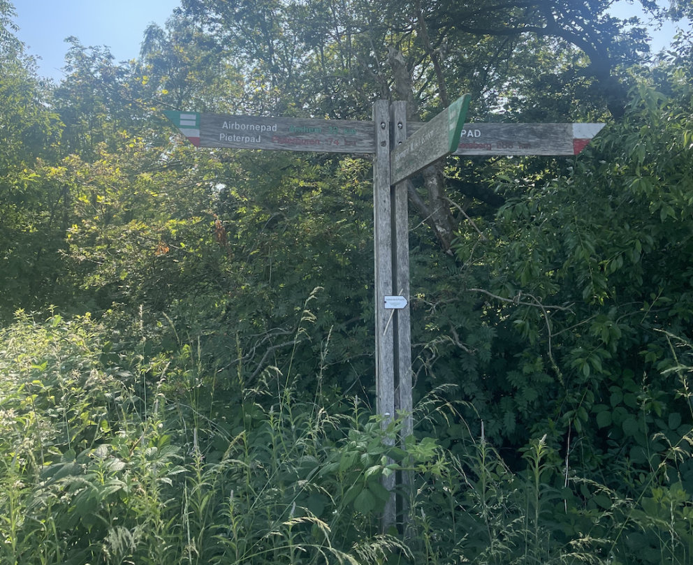 Fotografie: Asceline Groot