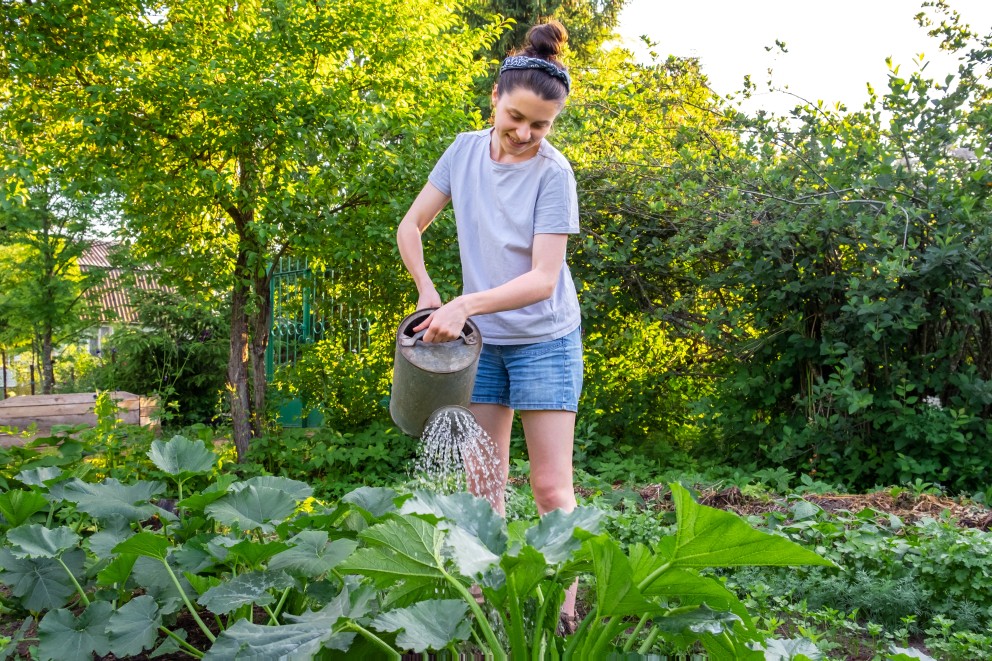Zo geef je de tuin slim water bij hitte | Foro: Adobe Stock 