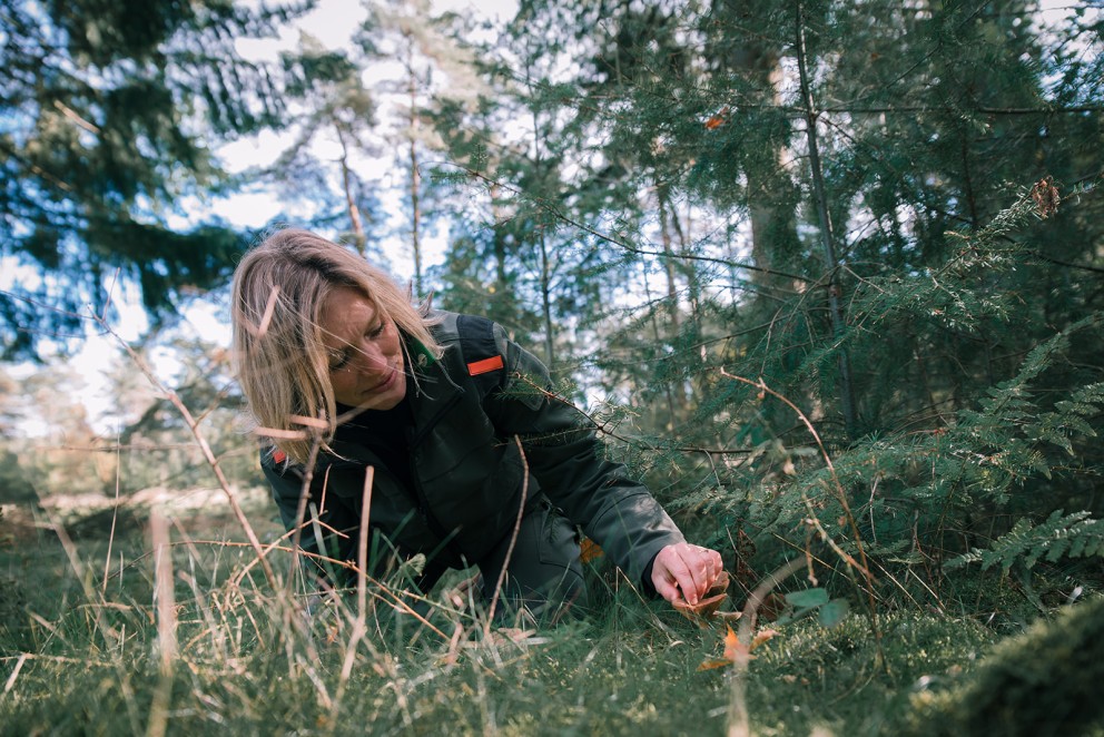 Marieke paddenstoelen