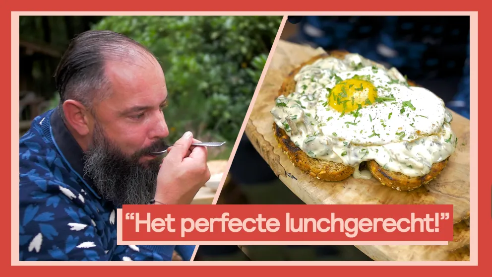 Toast met paddestoelenragout en een spiegelei