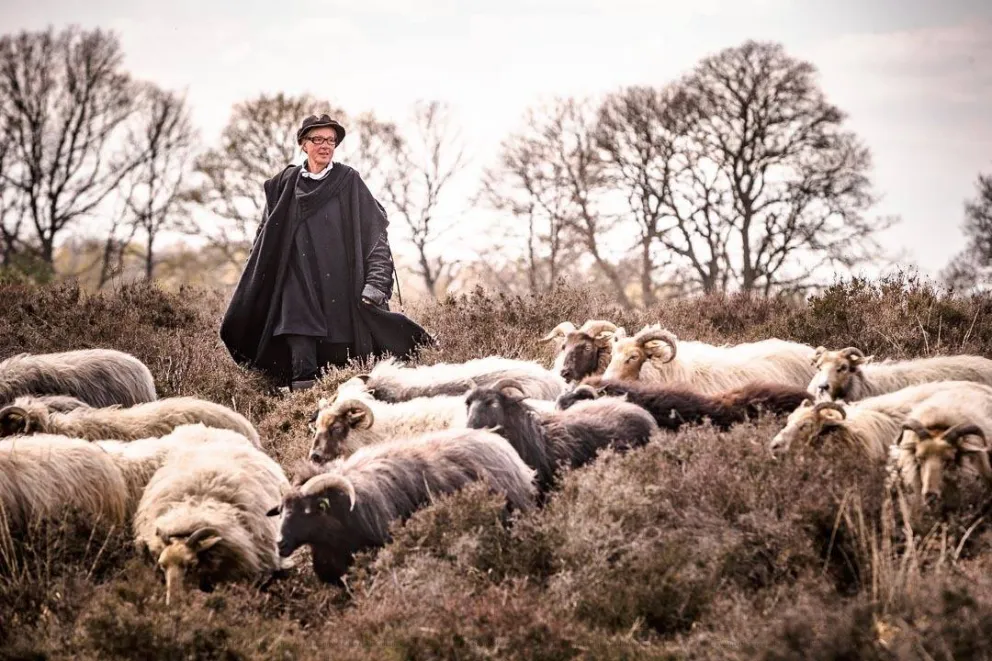 Schaapsherder Marianne met haar kudde | Foto: Nederlandse Kookboek van Laura de Grave 