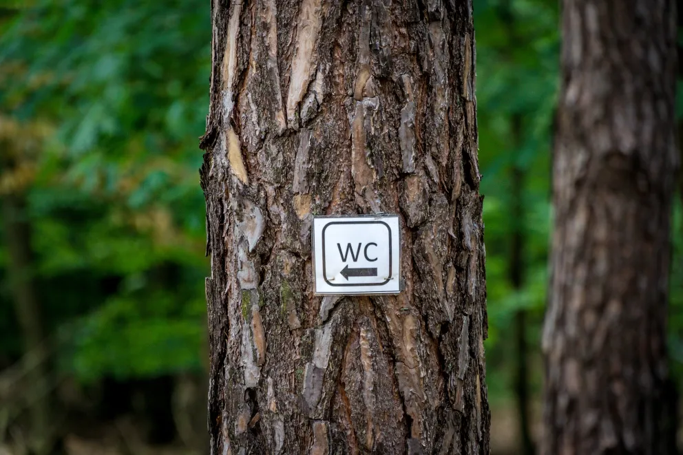 Toilet | Foto: Pixabay