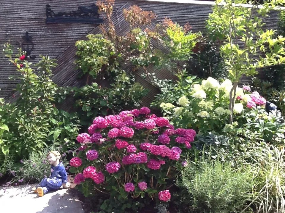 Betsy: 'De kleuren in de tuin vind ik prachtig'