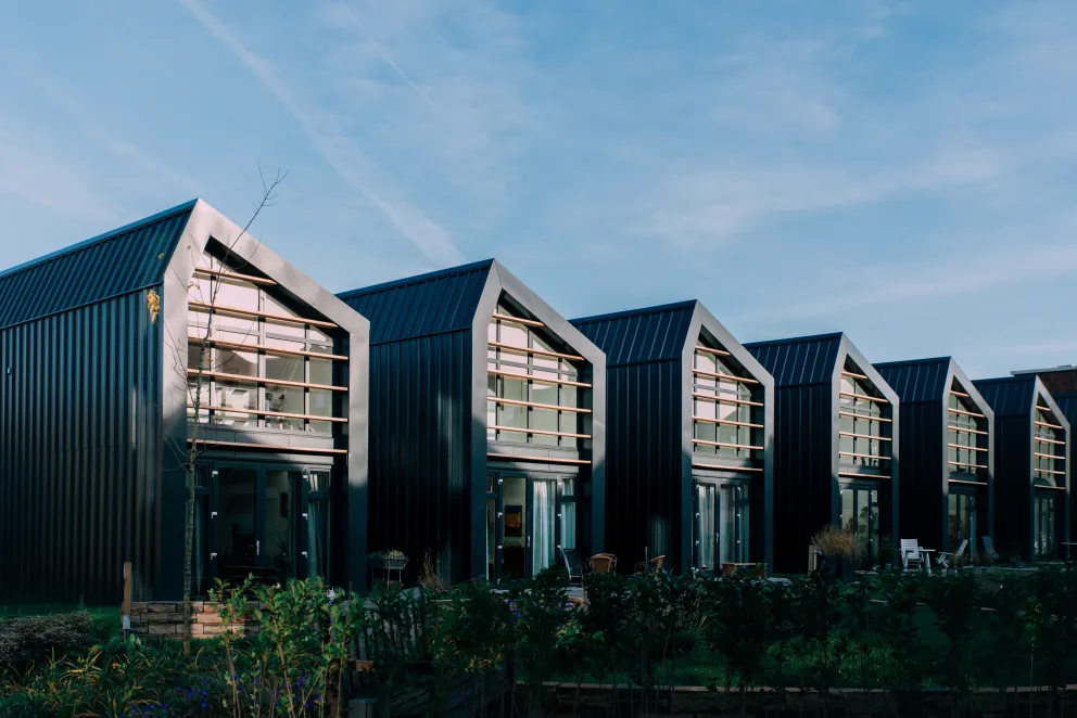 Tiny houses op een rijtje | Foto: Sheena Schouwink