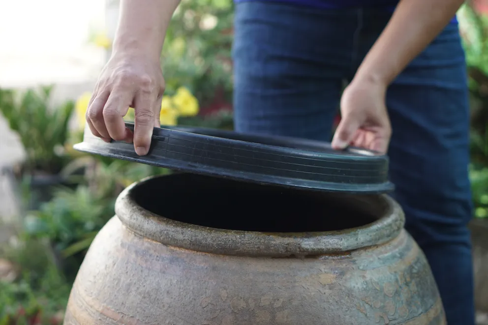 Wat kun je doen tegen muggen?