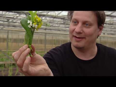 BinnensteBuiten Thuis | Promo | Workshop koken met lokale producten