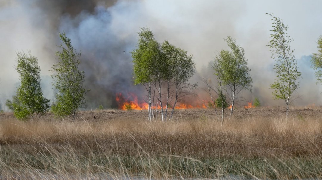 Vlammen slaan om zich heen in de Peel, foto: Staatsbosbeheer