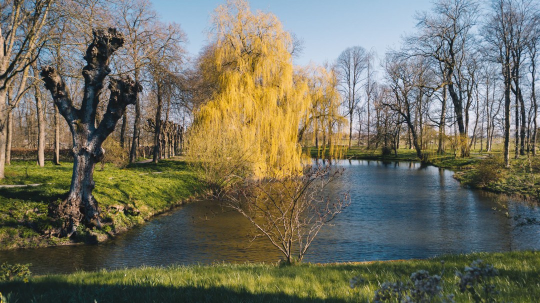 Vergezicht in de lente | Foto: Marjon Lukje